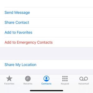 Meet your Posher, Teddy